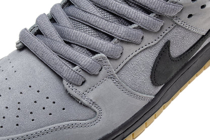 Dunk Low Pro