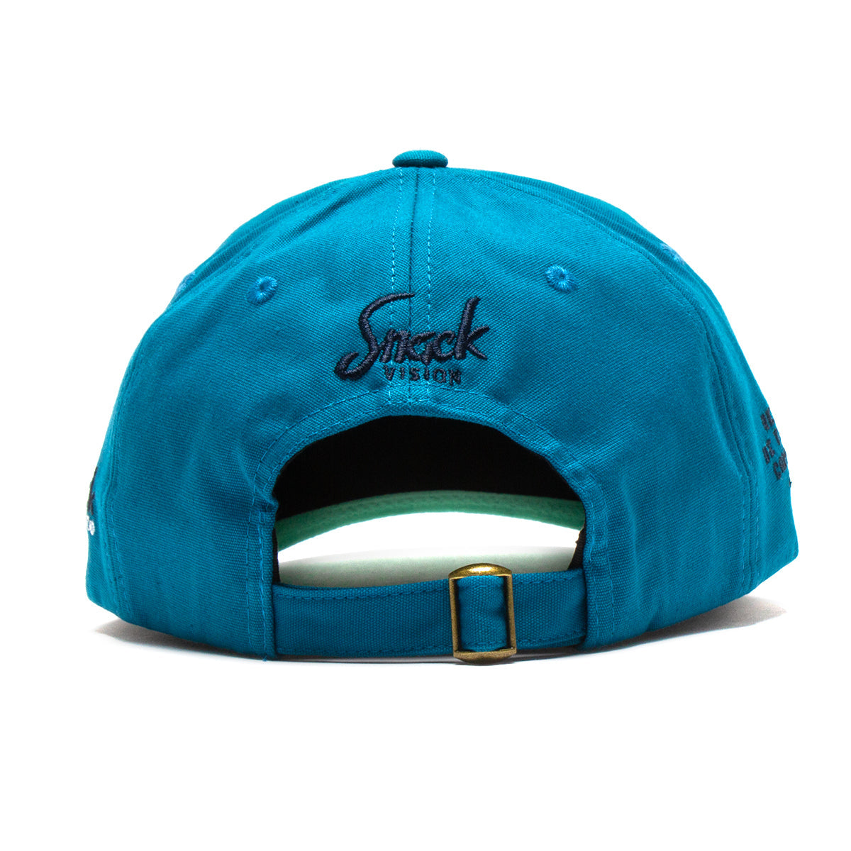 Audio / Video Hat