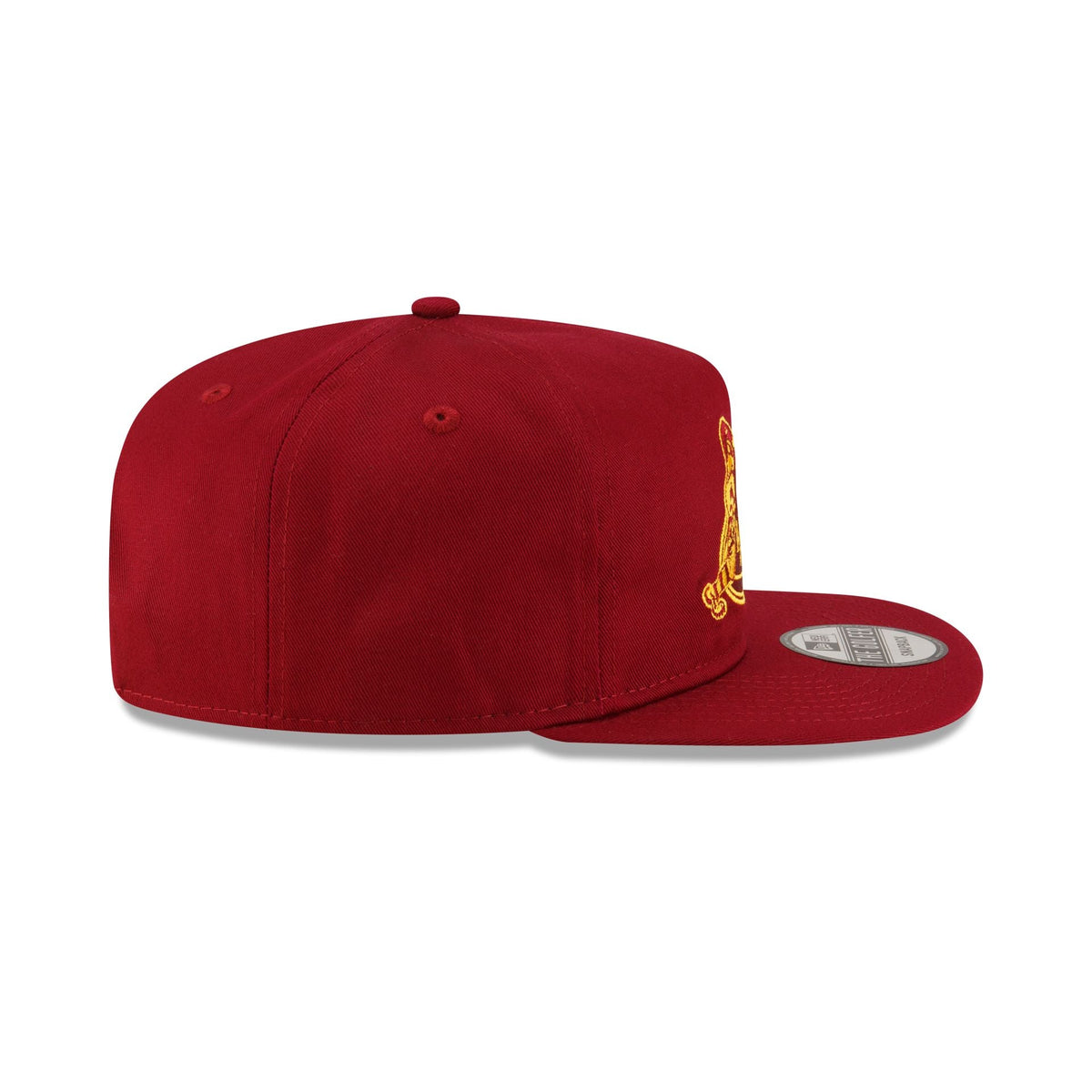 Arkansas Razorbacks College Vault Golfer