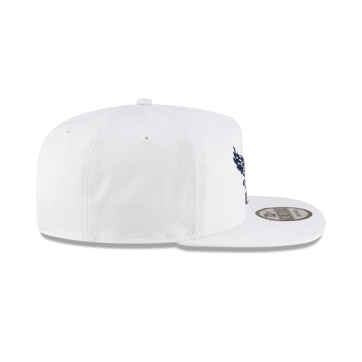 Auburn Tigers College Vault Golfer