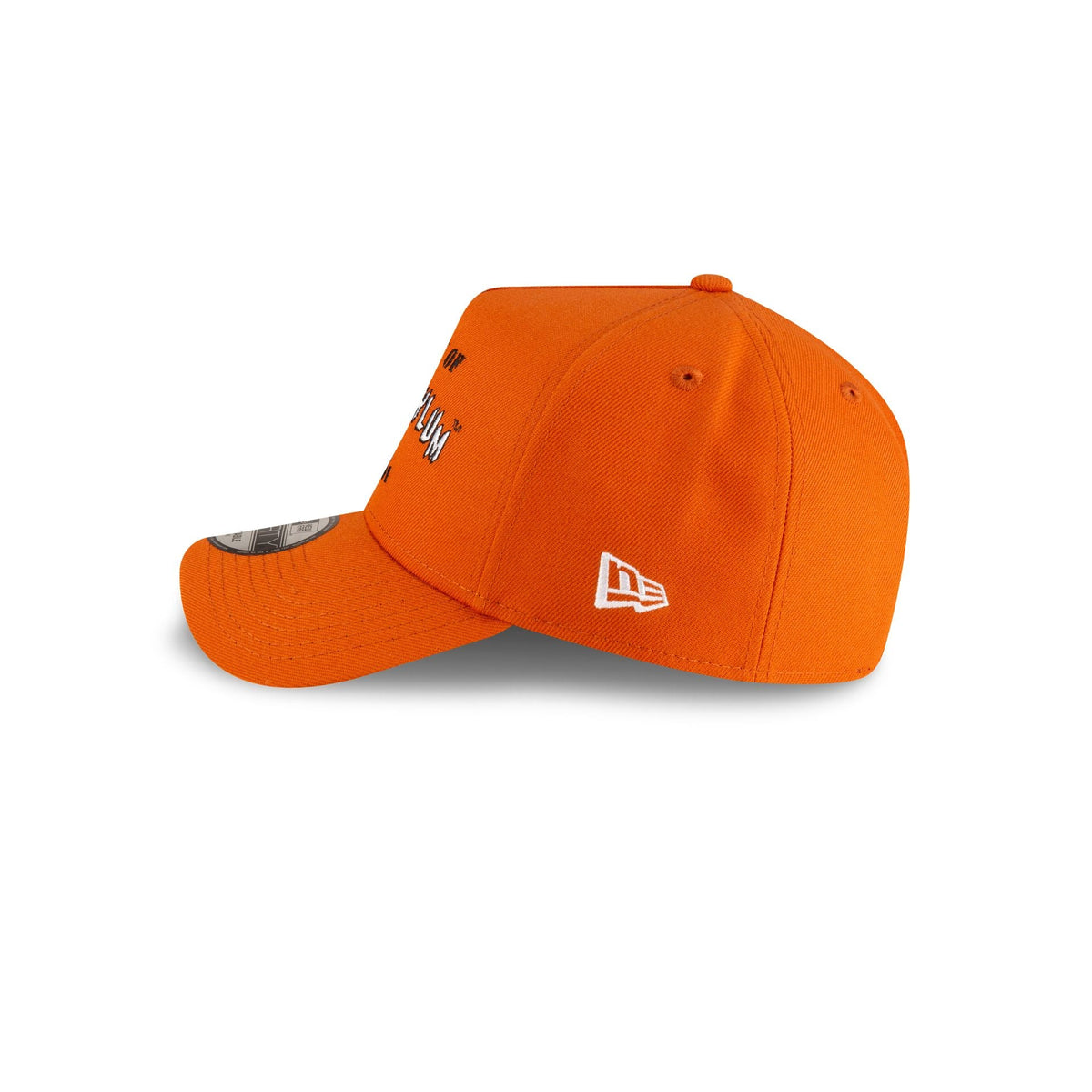 Batman Arkham Asylum 9FORTY A-Frame Snapback Hat