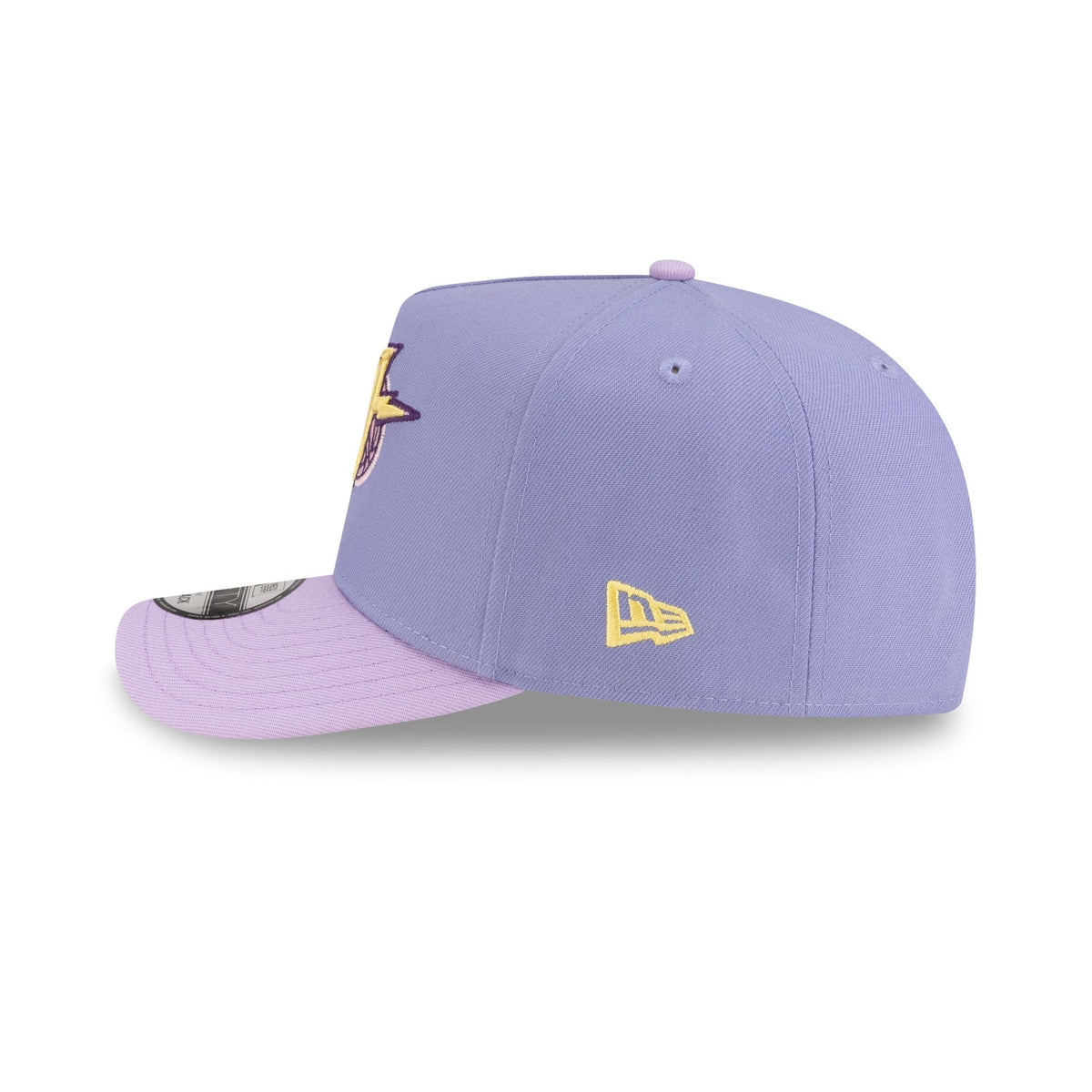 Golden State Warriors Hardwood Classics Lavender Purple 9FIFTY A-Frame Snapback Hat
