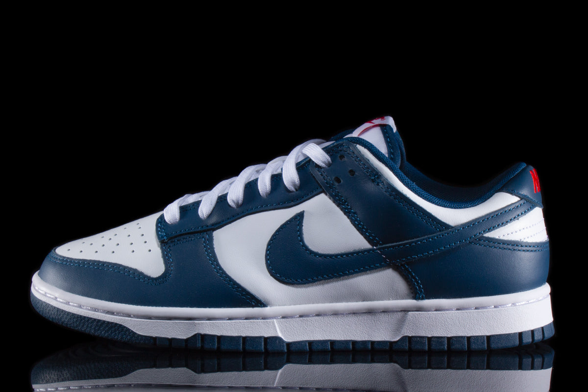 Dunk Low Retro