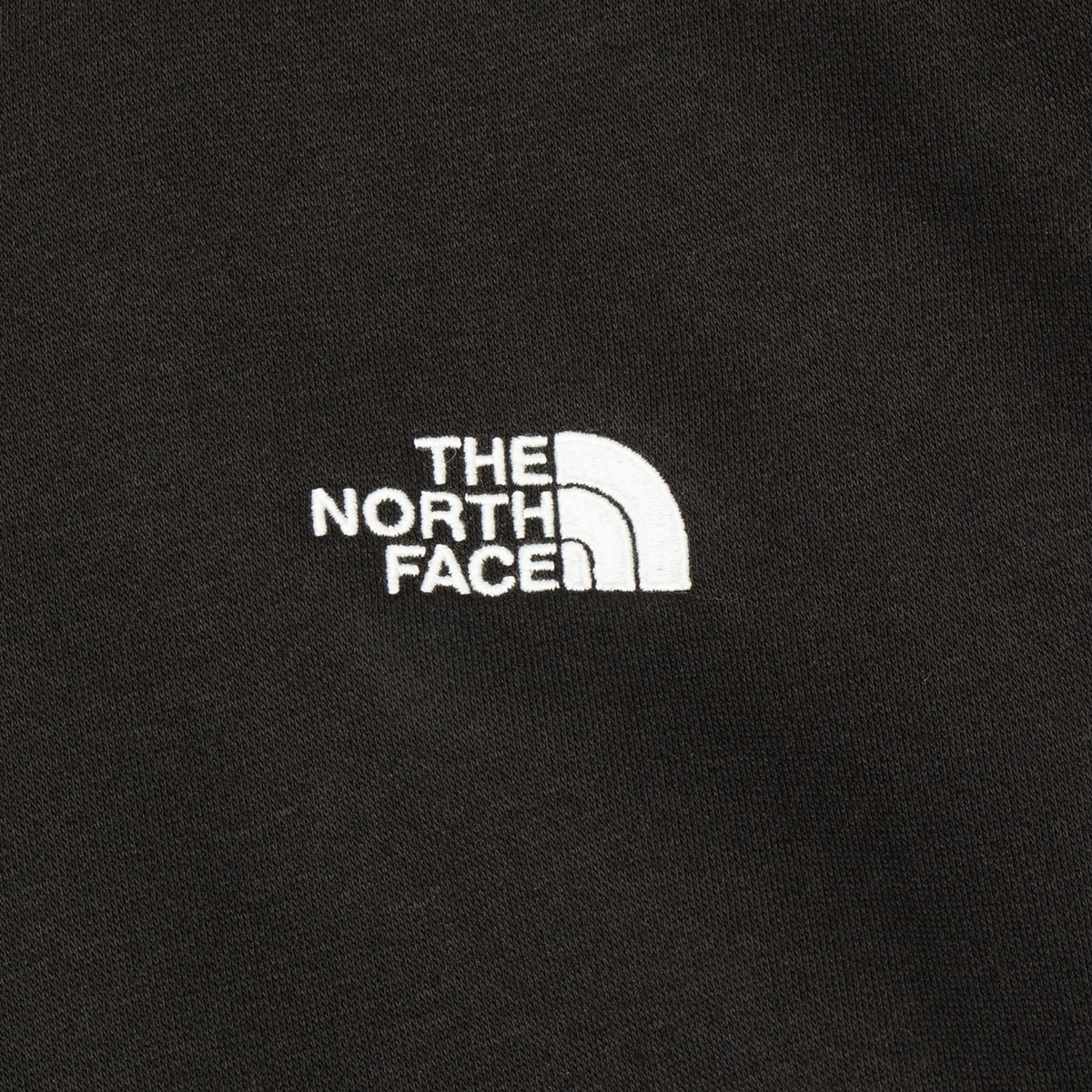 Evolution Vintage Hoodie