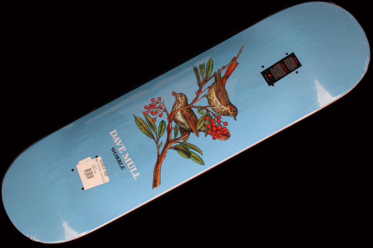 Hermit Thrush Deck 8.25"