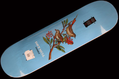 Hermit Thrush Deck 8.25"
