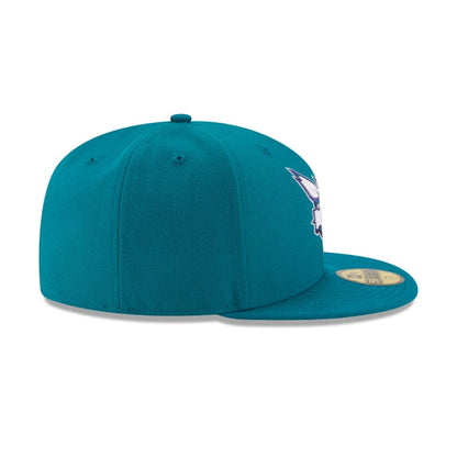 Charlotte Hornets Team Color 59FIFTY Fitted Hat