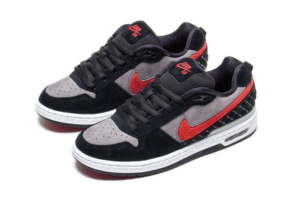 Paul Rodriquez Zoom Air Low