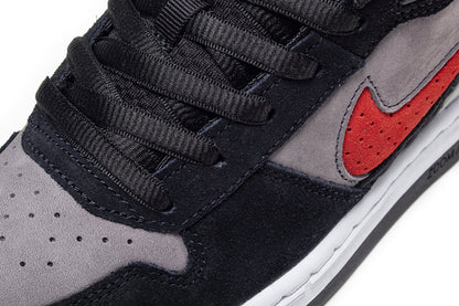 Paul Rodriquez Zoom Air Low