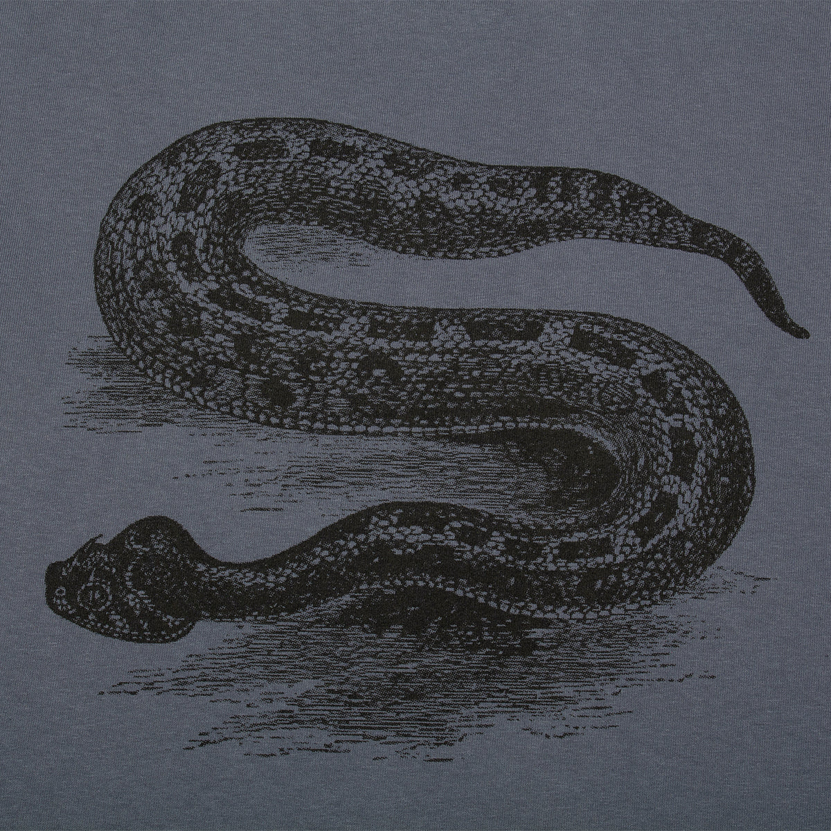 Serpent Pigment Dyed T-Shirt