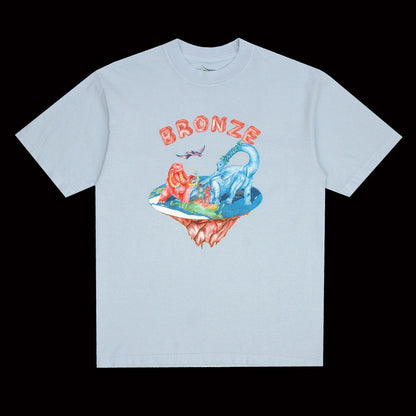 Flat Earth T-Shirt
