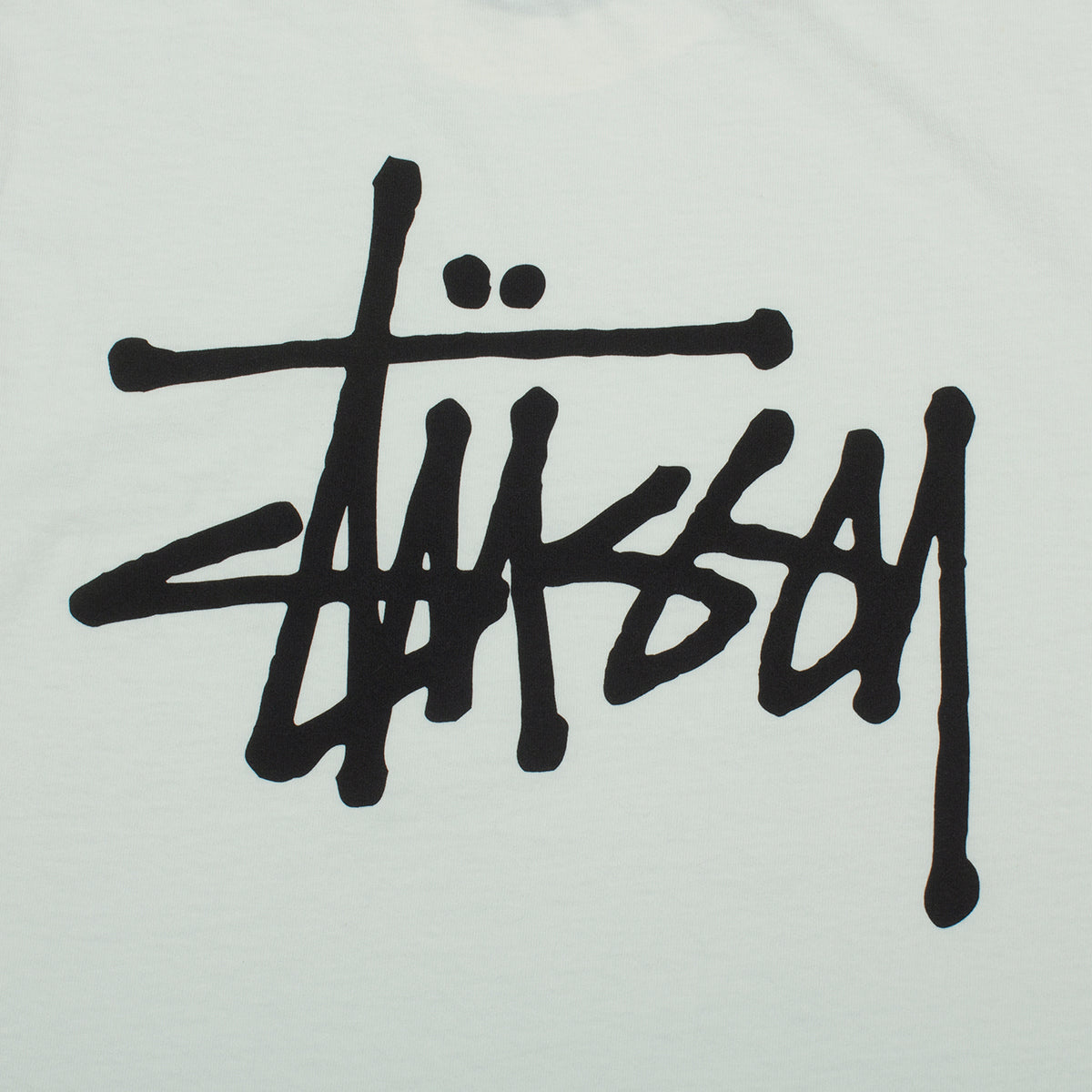 Basic Stussy Pigment Dyed T-Shirt
