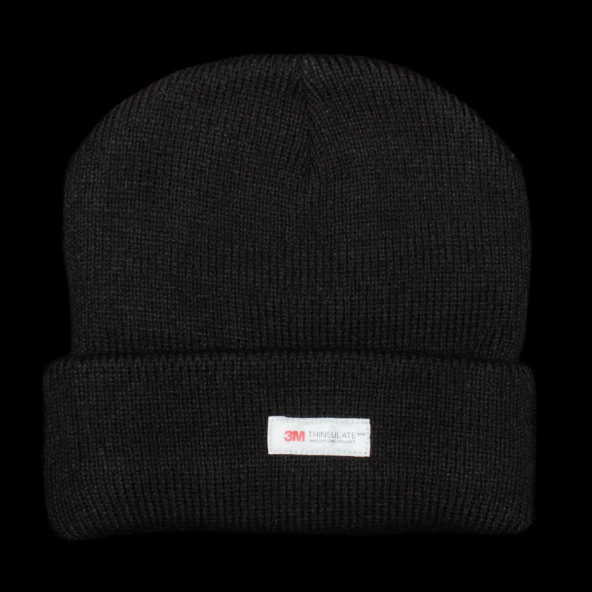 Big Basic Thinsulate Beanie