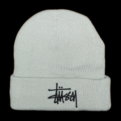 Big Basic Thinsulate Beanie