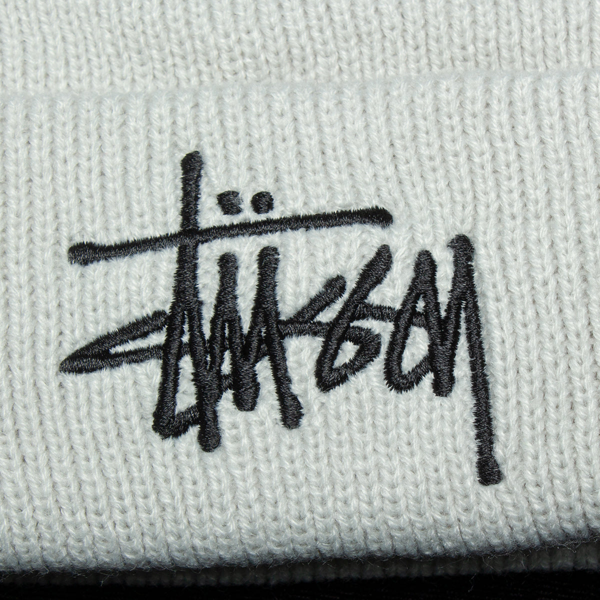 Big Basic Thinsulate Beanie