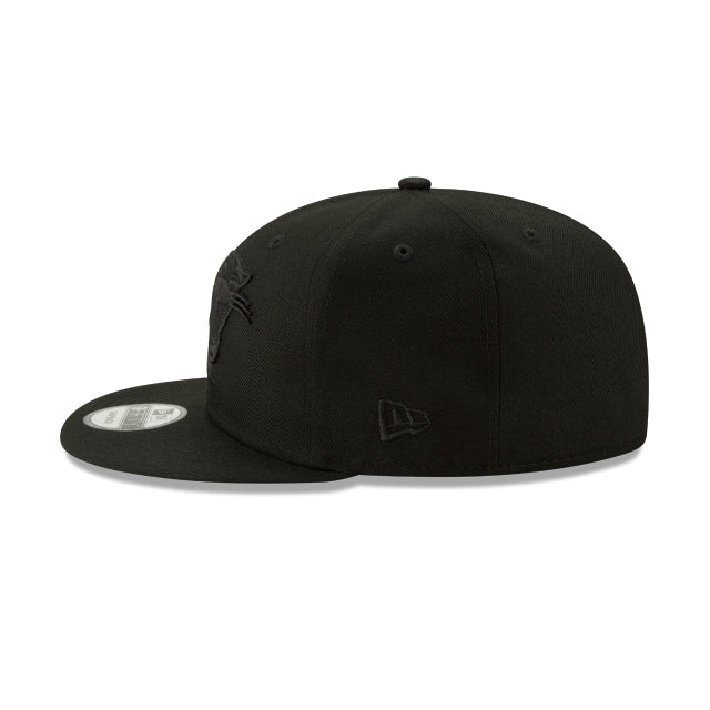 Carolina Panthers Basic Black On Black 9FIFTY Snapback Hat