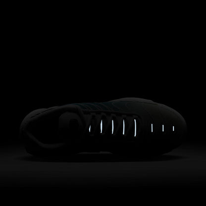 WMNS Nike Air Max plus Dusty Cactus 🌵