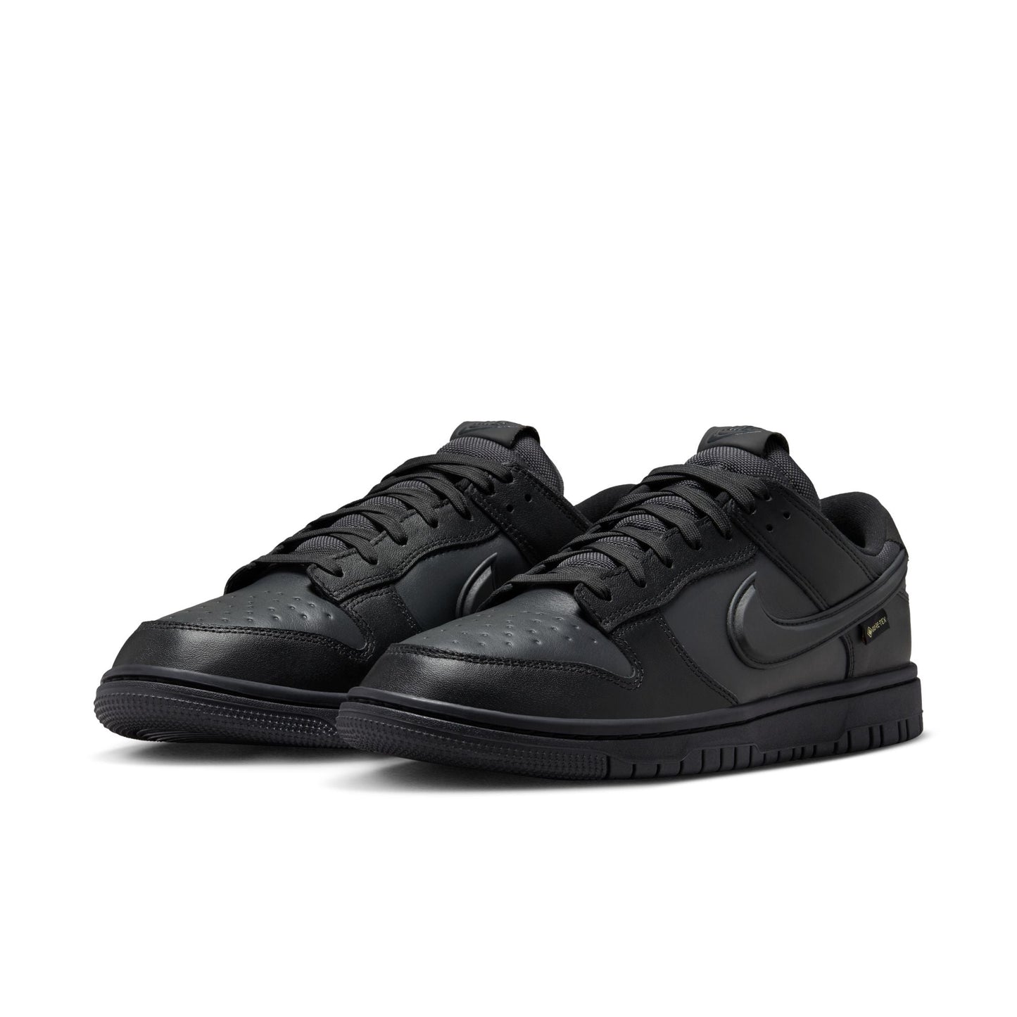 Nike Dunk Low GORE-TEX
