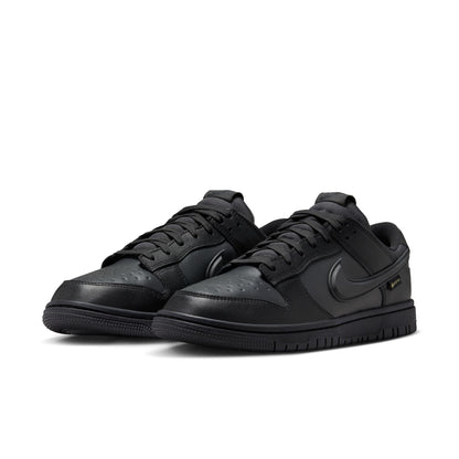 Nike Dunk Low GORE-TEX