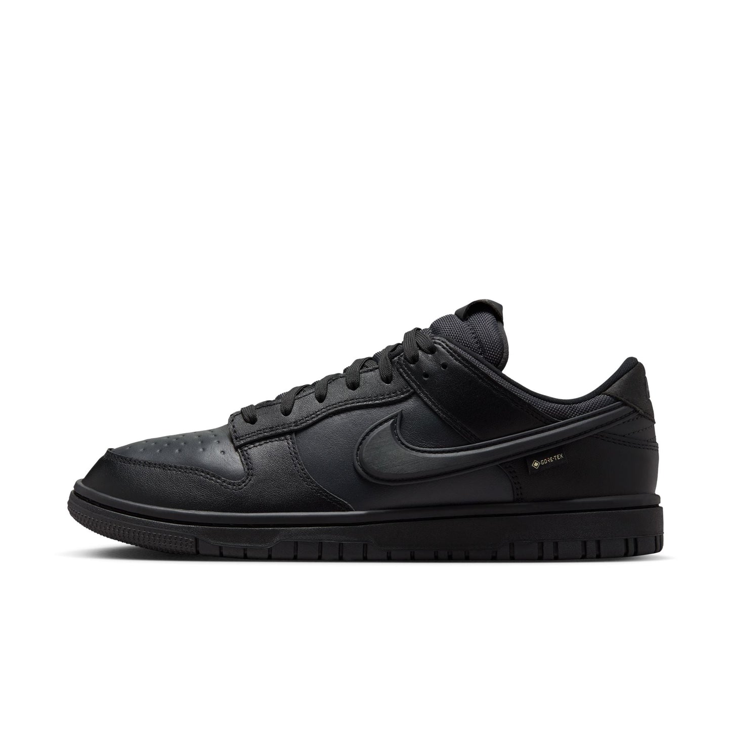 Nike Dunk Low GORE-TEX