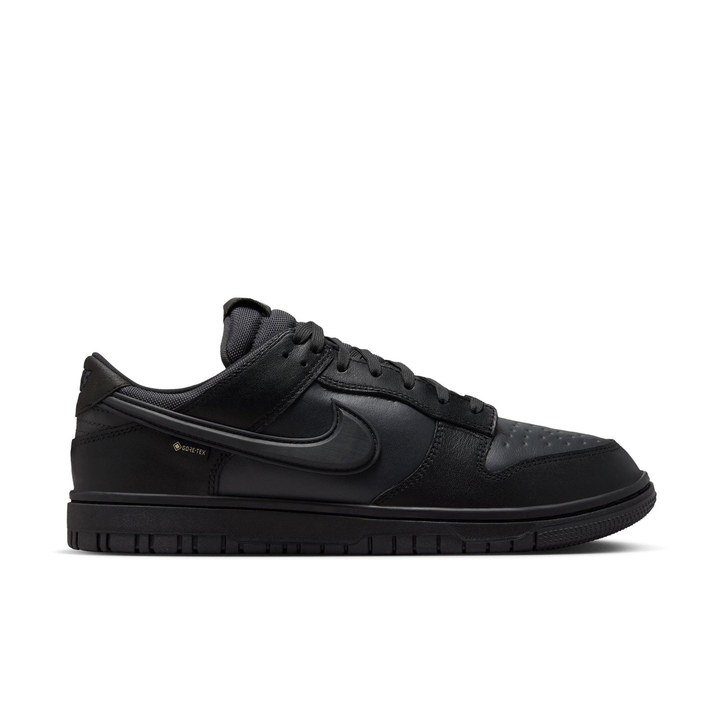 Nike Dunk Low GORE-TEX