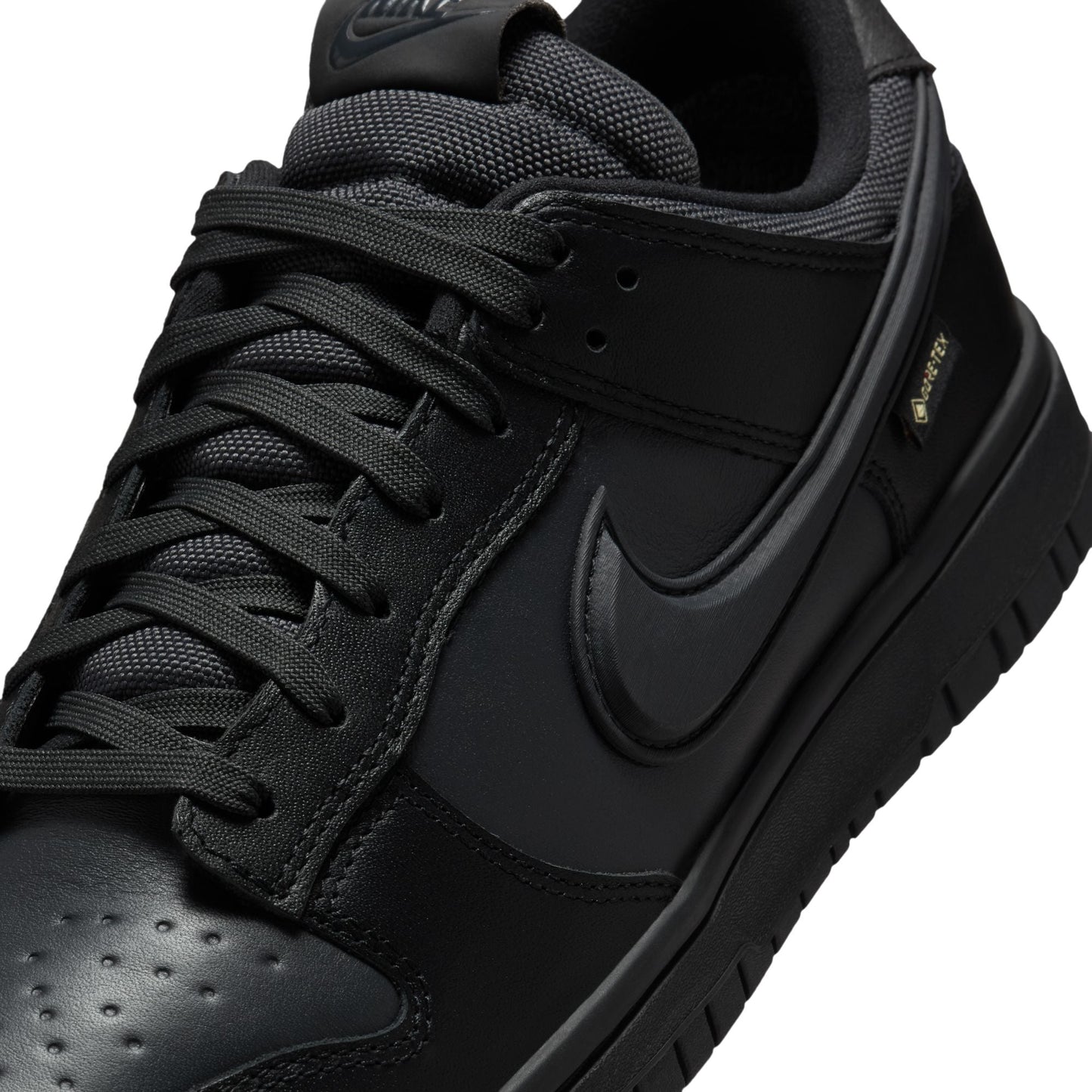 Nike Dunk Low GORE-TEX