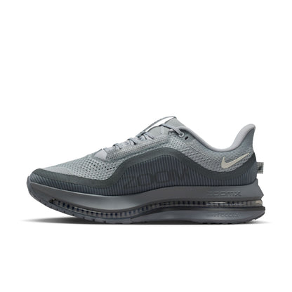 Nike Zoom Pegasus Premium SP