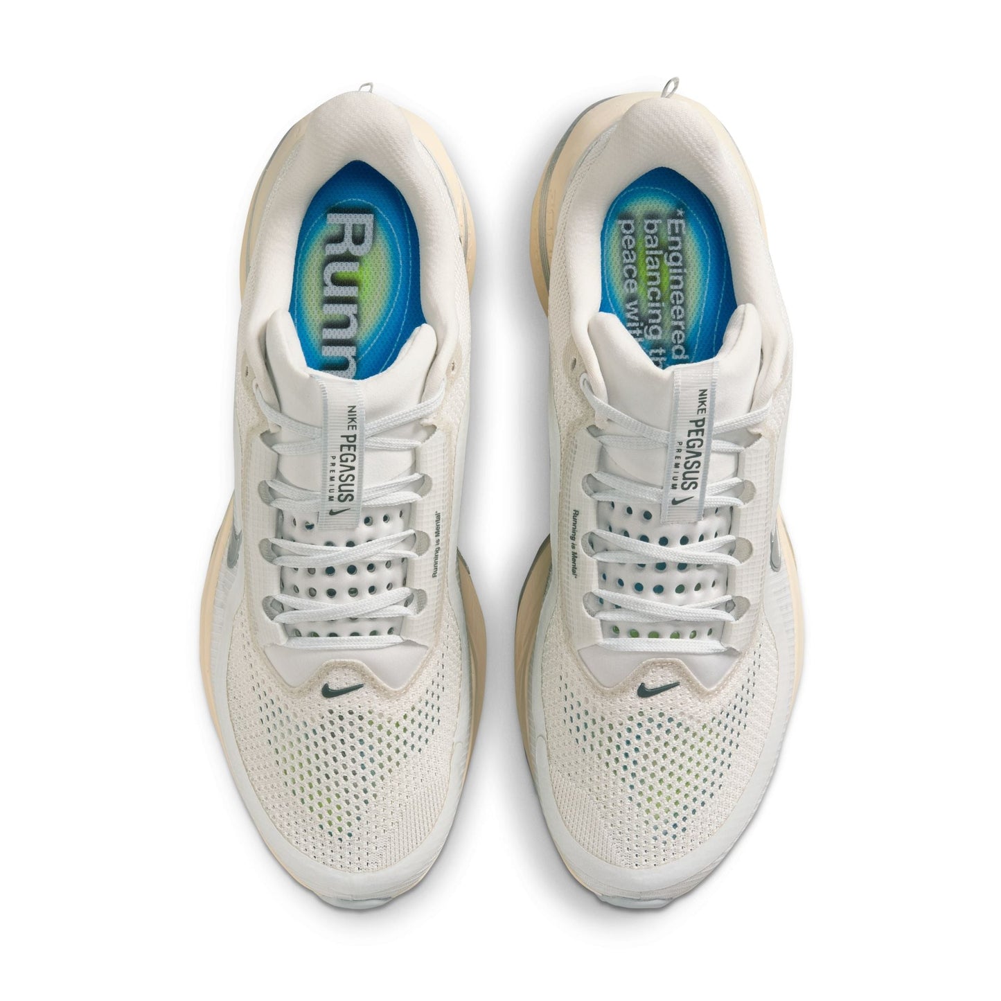 Men's Nike Pegasus Premium