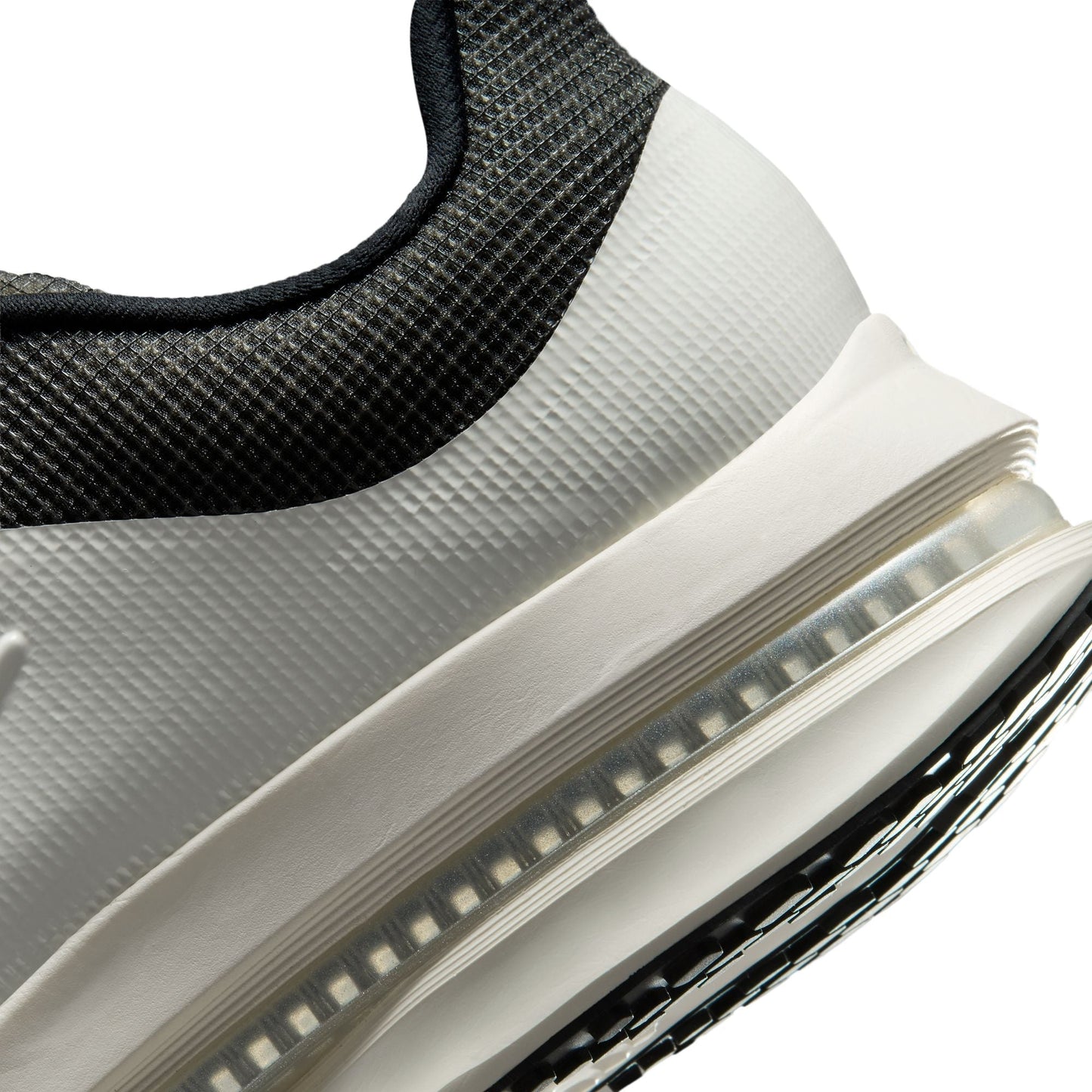 Men's Nike Pegasus Premium SP