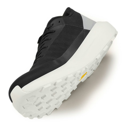Arc'teryx Norvan LD 4 Shoe