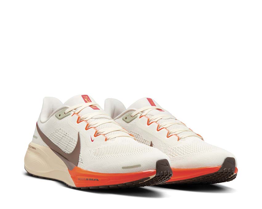 Nike Air Zoom Pegasus 41 "Ironestone"