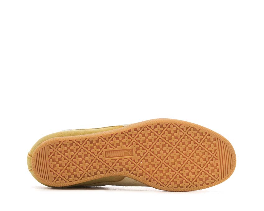 Puma Brasil The NeverWorn V
