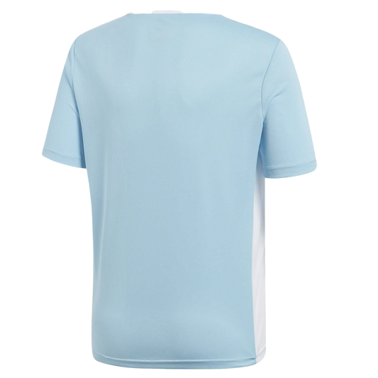 Adidas Entrada 18 Youth Jersey - Blue