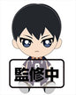 Haikyuu - Tobio Kageyama 14cm Plush