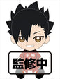 Haikyuu - Tetsuro Kuroo 14cm Plush