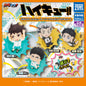 Haikyuu - Magnet Figures SINGLE BLIND BOX