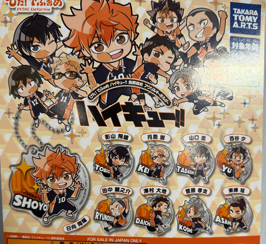 Haikyuu - Arcylic Keychain SINGLE BLIND BOX CAPSULE