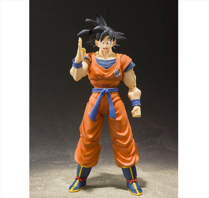 Dragon Ball Z - Son Goku A Saiyan Raided on Earth S.H.Figuarts