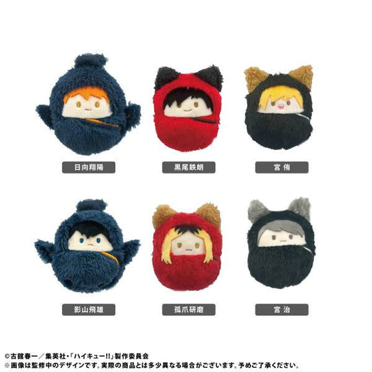 Haikyuu - Kurumi Tapinui Vol. 1 SINGLE BLIND BOX