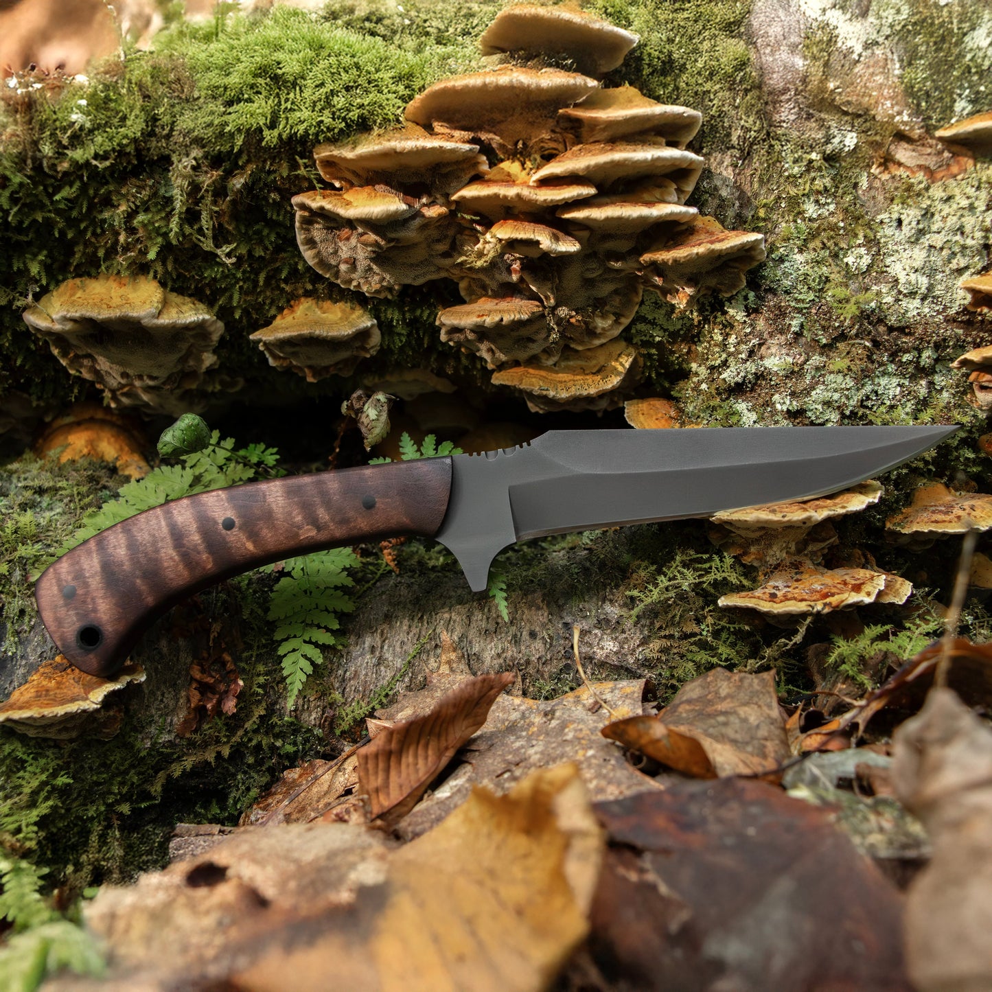 Winkler Knives Shadow Strike Knife