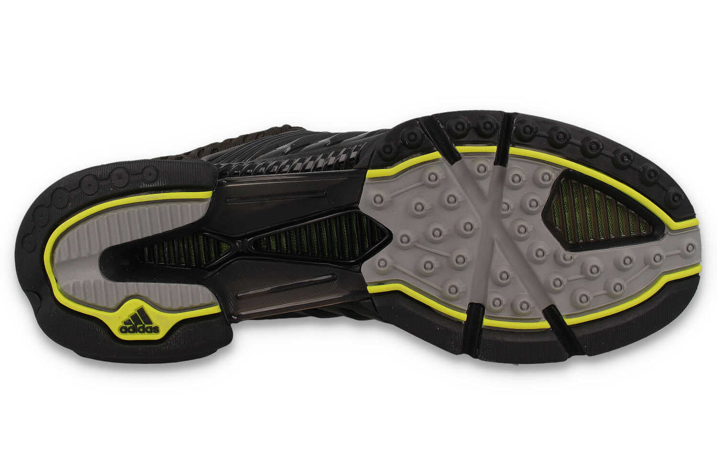 Climacool 1