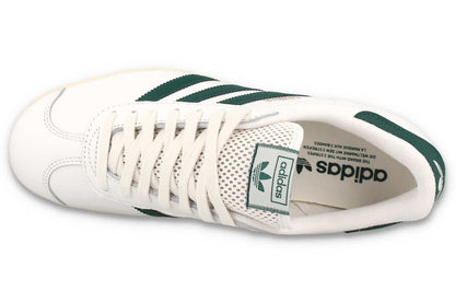 Gazelle