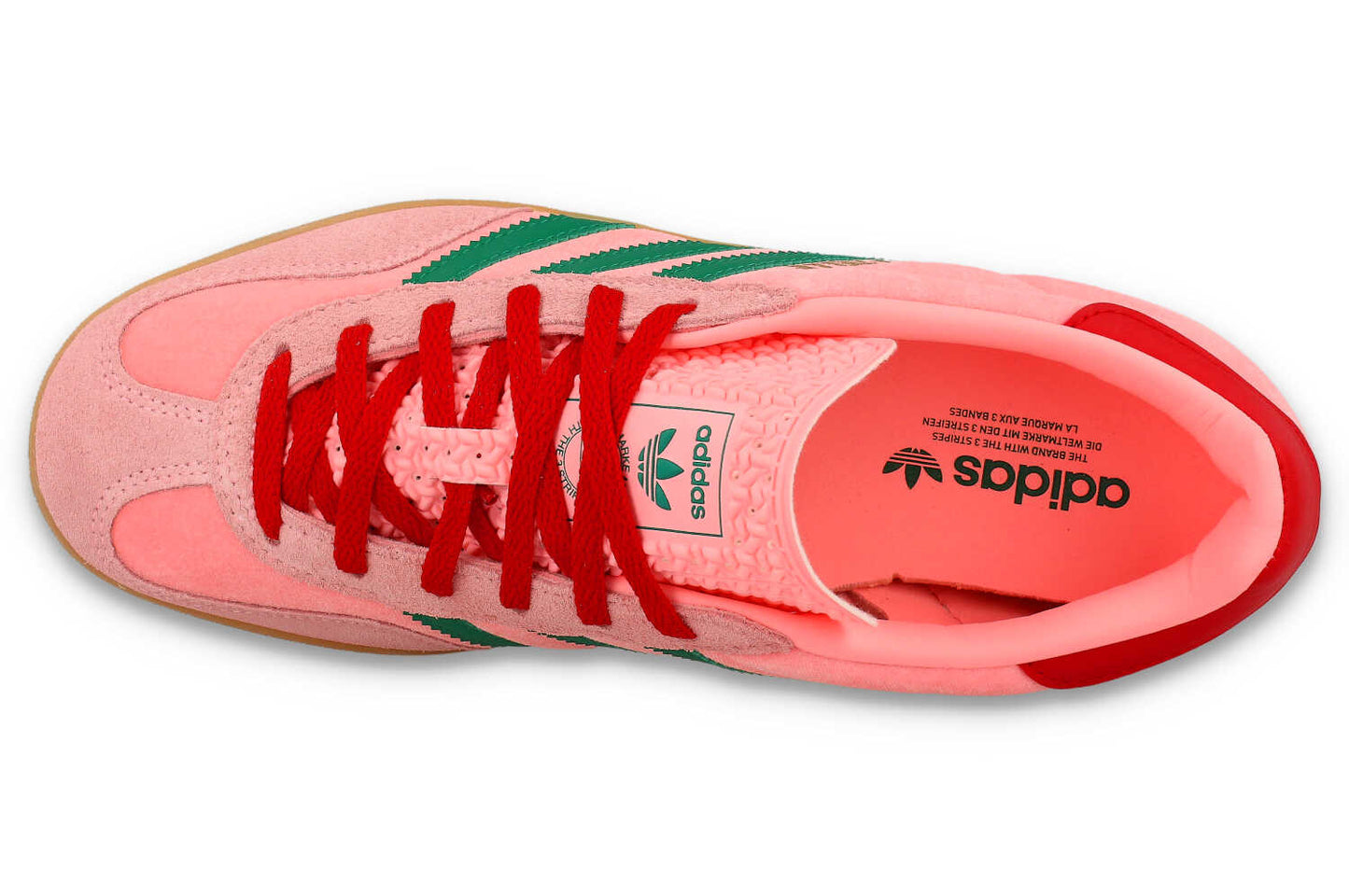 Gazelle Indoor W
