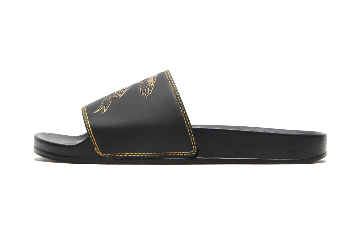 Basic Eagle Slides