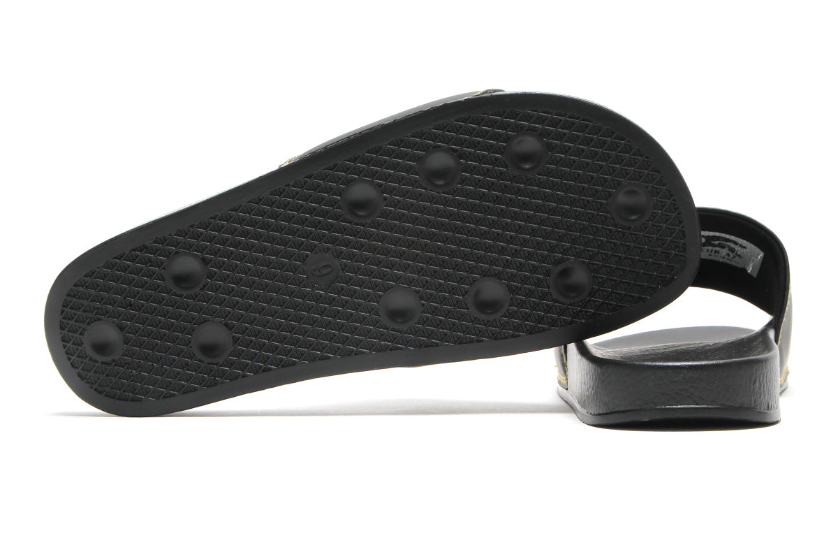 Basic Eagle Slides