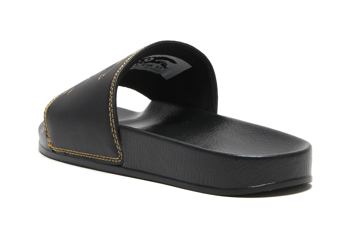 Basic Eagle Slides