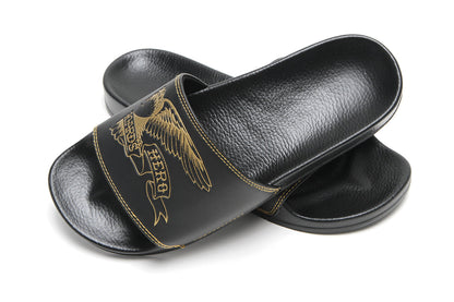 Basic Eagle Slides