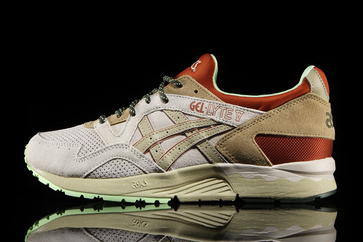 Gel-Lyte V