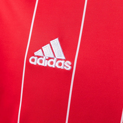 Wales Jersey 2015 Home Retro Football Kit
