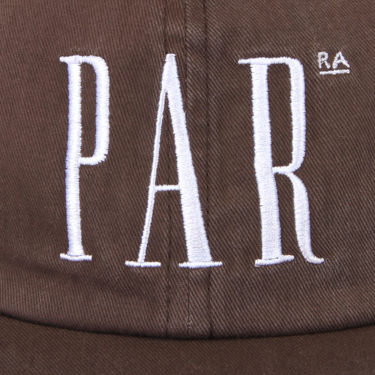 Store Logo 6-Panel Hat